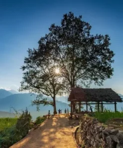 Tour Y Tý - Bắc Hà mùa lúa chín 3N2Đ